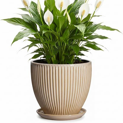 8 Inch Pots for Plants, Ceramic Planter with Saucer, Beige - color: Beige, size: 8 Inch