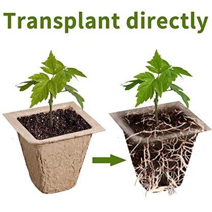 Seed Starter Tray 100 Cells, Biodegradable Peat Pots for Seedlings, 10 Pack 1.8" Square Pulp Nursery Cups with 100 Plant Labels and 2 Transplant Tools for Vegetable Herb