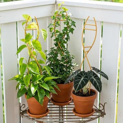 4 Pcs Glod Indoor Plant Trellis for Potted Plants - Durable Metal Climbing Trellis with Unique DNA Spiral Design for Vining Plants, Easy Installation for Indoor & Outdoor Use