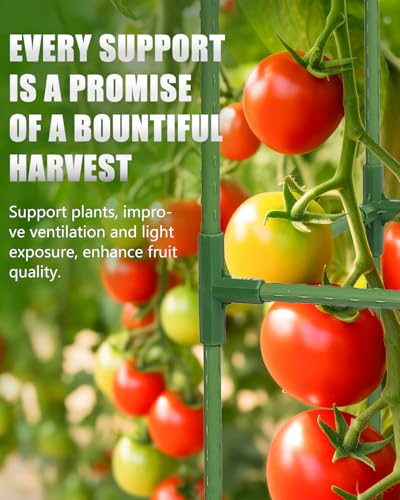 3 Pack 47 Inch Heavy Duty Height Adjustable Square Tomato Cage - color: Dark Green