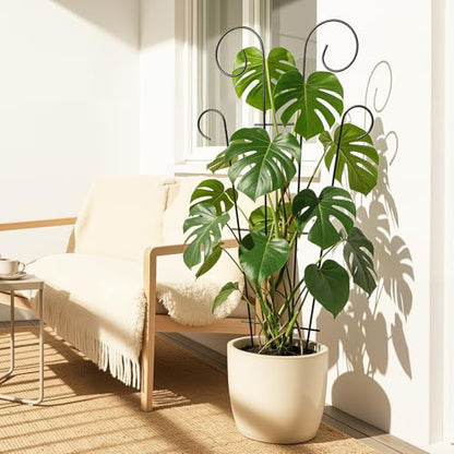 4 Pack 43'' Large Metal Plant Trellis for Climbing Plants - size: 43 inch