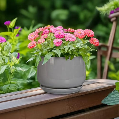 G EPGardening Ceramic Pot for Plants, 6 Inch, Gray - color: Gray, size: 5 Inch