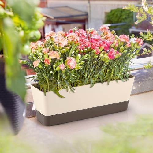 Window Box Planter with Tray, 12" Rectangle Plant Pot, Pack of 2 (Beige)
