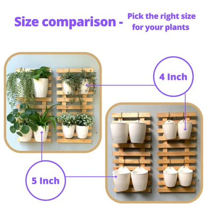 LaLaGreen Wall Planter for Indoor Plants (5in, 10 Pack) White Self-Watering - size: 5" (12.5 cm)