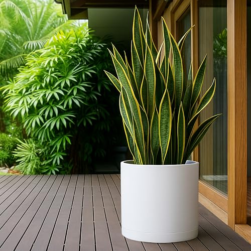 D'vine Dev Plastic Planter Pot with Saucer, 16 in, White, 74-X-A-5 - color: Matte White, size: 16 Inch