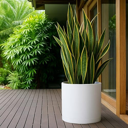 D'vine Dev Plastic Planter Pot with Saucer, 16 in, White, 74-X-A-5 - color: Matte White, size: 16 Inch