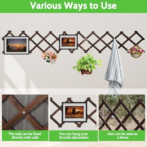Expandable Garden Trellis Large Wooden Lattice Fence - color: 200x44cm