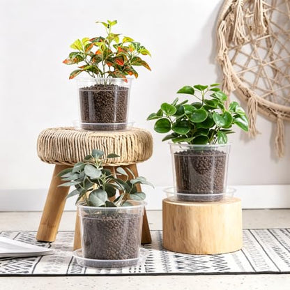 6 Inch Clear Nursery Pots with Drainage Hole 12Pcs,Plastic Plant Planters - color: 6 in