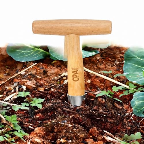 Seed Dibber Hand Dibber Bulb Planter Tool, Stainless Steel Garden Dibber with Wooden Handle for Planting Seeds, Bulbs, Tulips, Daffodils and Flowers (11.0x4.5in) - size: 11.0x4.5in