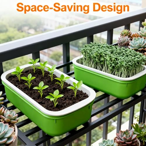 Plastic Double-Layer Plant Growing Nursery Pots Vegetable Flower Seedlings Tray Soilless Germination Plate Garden Tools,16.5 * 10.5 * 5.5cm(3 pcs) - color: 3 Pcs