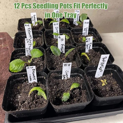mwellewm 5 Pcs Seed Starter Tray, 3.5 Inch (9CM) 60 Pcs Nursery Pots Kit, Thickened Seed Starting Trays Square Seedling Pots for Plants Sturdy Microgreens Growing Trays Reusable Germination Tray - size: 3.5'' Pots-60pcs + 15.2" x 11" x 2.6" Trays-5Pcs