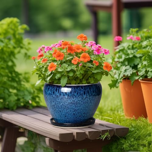 10 Inch Plant Pot, Ceramic Planter with Drainage and Saucer, Blue - color: Blue, size: 10 Inch