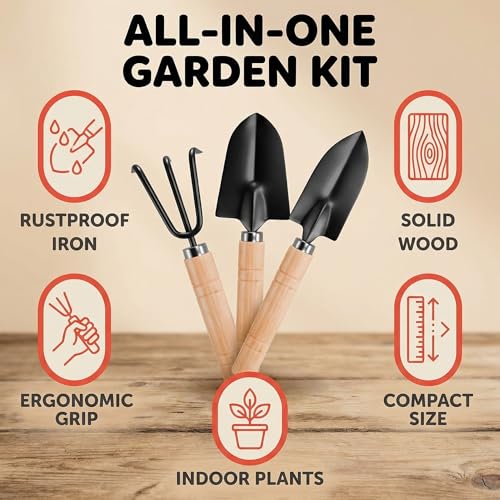 3PCS Small Garden Tools Set - Mini Garden Tools Set with Trowel, Shovel & Hand Rake Made of Rust-Resistant Iron & Solid Wood for Indoor Plants, Succulents, Bonsai, Potting & Repotting - color: Medium Size 3-Piece Set