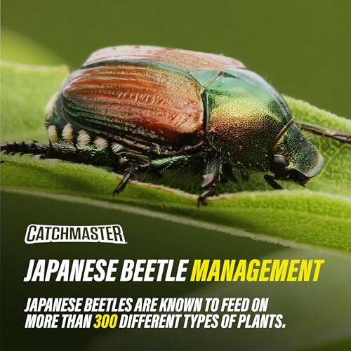 Catchmaster Japanese Beetle Traps 3 Pack, Outdoor Beetle Bags w/Dual Lure - size: 3-Pack