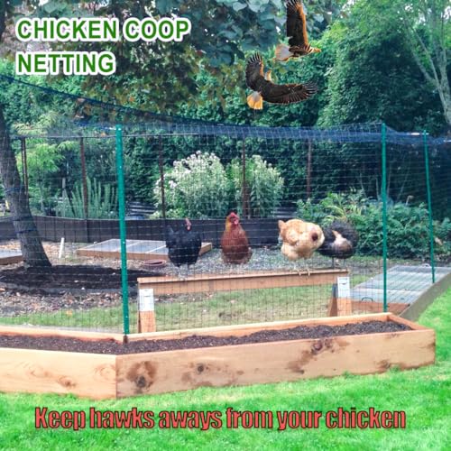 Bird Netting for Chicken Coop,50x50ft Chicken Netting for Chicken Coop Roof - size: 2.4", 50' x 50'