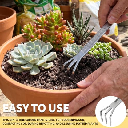 Bonsai Tools, Bonsai Root Rake, Small Root Hook,Rake Pic for Soil Loosening - size: 2 Pack