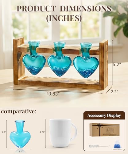 Nacome Plant Terrarium with Wooden Stand, 3 Heart Bulb Glass Vases - color: Blue