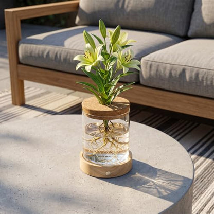 Plant Propagation Station with Wooden Saucer, Glass Terrarium with Dimmable Function Hydroponic Container Vase Jars Gardening Gifts for Mom Women Plant Lovers(4 Pack) - color: 4 Pack Cylindrical