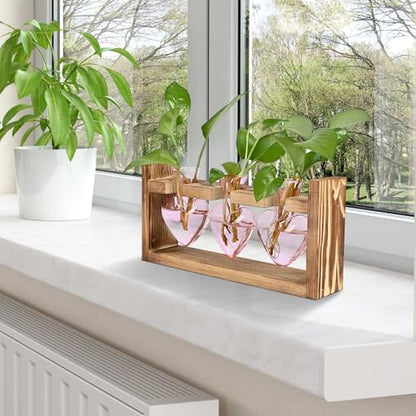 Plant Terrarium Propagation Stations Hydroponics - color: Pink