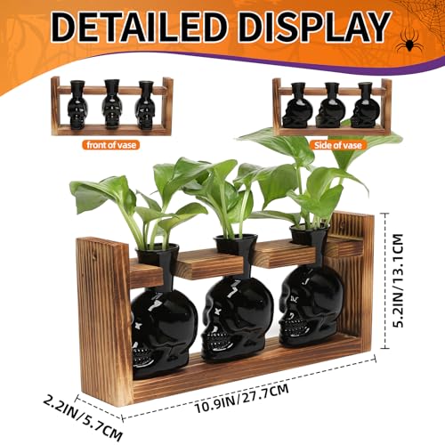 Plant Terrarium Propagation Stations Skull Planter Vase Skulls Decor - color: Black