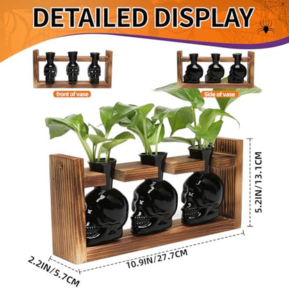 Plant Terrarium Propagation Stations Skull Planter Vase Skulls Decor - color: Black