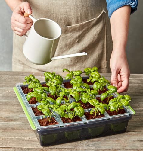 Burpee SuperSeed 16 XL Cell Reusable Seed Starting Tray for Seedlings - size: 16 Cells