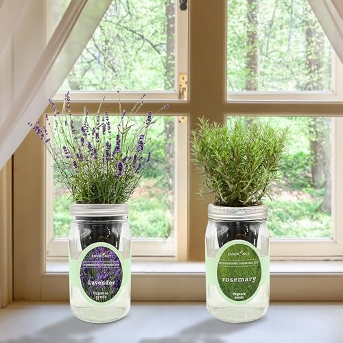 2-Pack Hydroponic Mason Jar Herb Garden Kit, Indoor Herb Garden Self-Watering Starter Kit, New Christmas Gift for Mom (Dill,Lavender)
