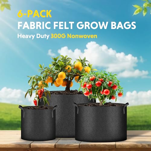 iPower Plant Grow Bag 10 Gallon 6-Pack Heavy Duty Fabric Pots, 300g Thick Nonwoven Fabric Containers Aeration with Nylon Handles, for Planting Vegetables, Fruits, Flowers, Black 2024 Version - color: Black, size: 10 Gallon