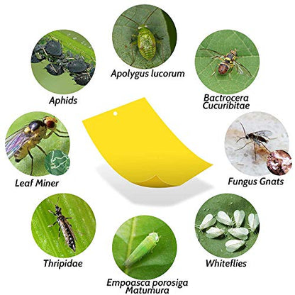 Kensizer 20-Pack Fruit Fly Trap, Yellow Sticky Gnat Traps, 6x8 in - size: 20-Pack