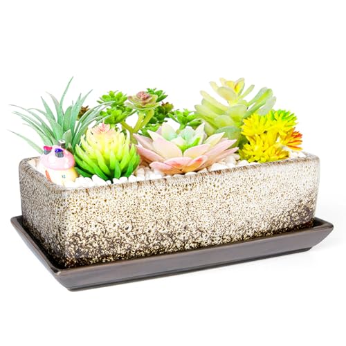 Succulent Pots - Long Rectangle Succulent Planters with Drainage Tray - color: White