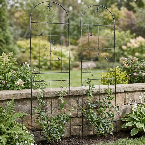 70.8" Black Metal Garden Trellis for Climbing Plants, 2 Pack - color: Black