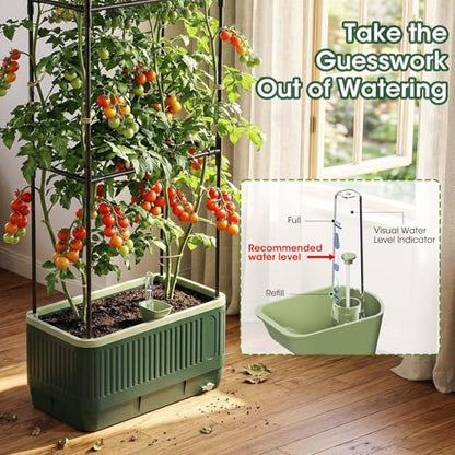 2 Pack 51" Self Watering Planter Box with Trellis, Tomato Planter Trellis for Raised Garden Bed, Tomato Cage with Visual Water Indicator, Indoor Outdoor Tomato Cages for Garden Patio - style: 2 Pack