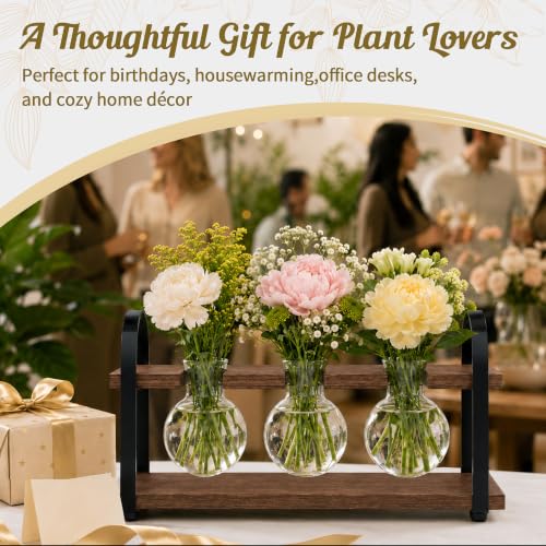 3-Bulb Plant Propagation Station, Glass Vase Terrarium, Brown - color: Brown