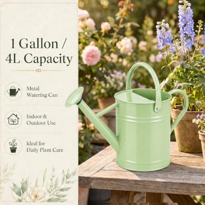 1 Gallon Metal Watering Can for Indoor Outdoor Plants, Pistachio Green - color: Pistachio Green