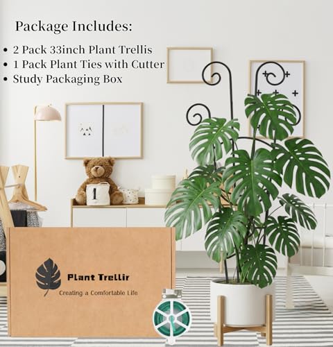 2 Pack 33 inch Plant Trellis for Climbing Plants Outdoor/Indoor, Expandable Large Metal Garden Trellis for Climber Plants, Sturdy Houseplant Support Stakes for Potted Vine Ivy Pothos Monstera - size: 33in/2Pack,Style 1