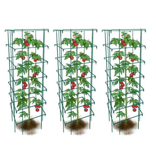Happy Trees Large Heavy Duty Folding Tomato Cages, 3-Pack, Made in USA - color: Green