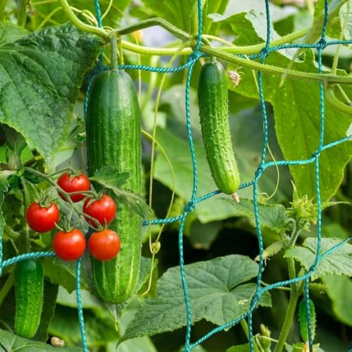 Trellis Netting, Heavy-Duty Garden Grow Netting for Climbing Plants, Outdoor Indoor Net for Cucumber, Tomatoes, Beans, Clematis, Fruits & Vegetables, Climbing Vining Plants (32.8' x 6.6'Ft) - size: 32.8' x 6.6'Ft