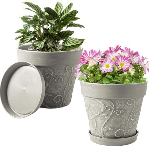 Melphoe Plant Pots Indoor with Drainage & Saucer, 2Pack 10 inch Flower Pots Outdoor Planters for Indoor Plants Garden Home Decor Cactus Succulent, Rigid Plastic (Imitation-Terracotta) Vine-Embossed - color: Cement Grey Color, size: 10 inch