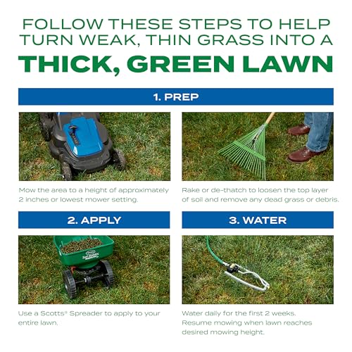 Scotts Turf Builder Thick'r Lawn Sun & Shade, 12 lbs. - size: 12 lb.