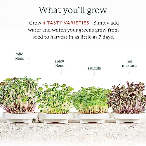 Gardyn Complete Microgreens Growing Kit - Indoor Herb Garden - size: MICROGREENS KIT