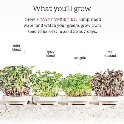 Gardyn Complete Microgreens Growing Kit - Indoor Herb Garden - size: MICROGREENS KIT