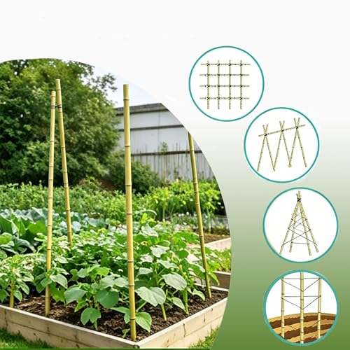 Bamboo Stakes with Jute Twine, 6FT Garden Stakes Multi-Purpose, Plant Stakes for Tomatoes, Beans, Cucumbers, Peppers, Flowers, Potted, Maintain the Plant Posture, Strengthen and Stem