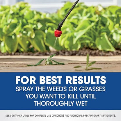 Roundup Weed & Grass Killer4 Concentrate, 2.5 gal. - size: 2.5 gal. Conentrate