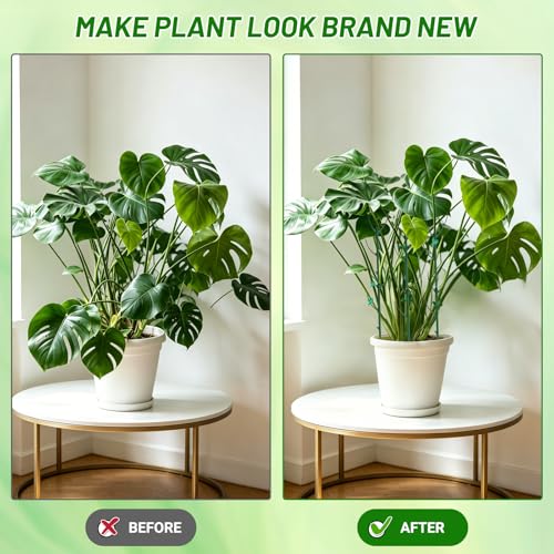 12 Pack Stackable Monstera Plant Support Poles with 20 Clips, 2 Roll Tie