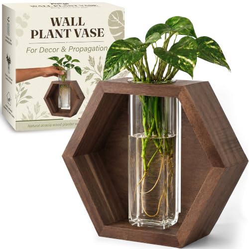 AVERGO Wall Plant Decor (1-Pack), Acacia Wood Indoor Wall Planter - color: Acacia