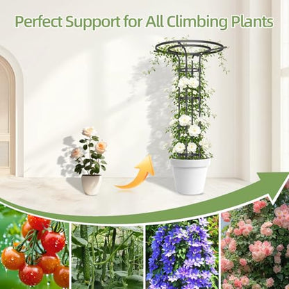 70.9 Inch Garden Trellis for Climbing Plants Outdoor, Mushroom Top Trellis - color: 5 Floors/Black