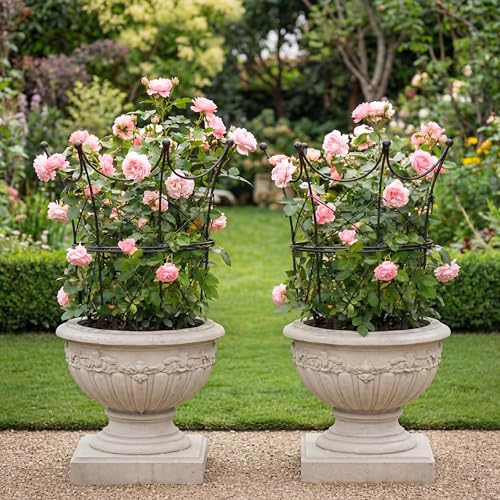 BreezeHug 2 Set Garden Obelisk Trellis Peony Cages and Supports, Crown