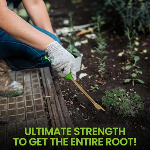 Garden Guru Titanium Dandelion Weeder Tool - Rust Resistant - Ergonomic Handle - Weed Puller for Planting, Weeding, Flower and Vegetable Care in Lawn Garden Yard (4 Pack) - size: 4 Pack, style: Titanium