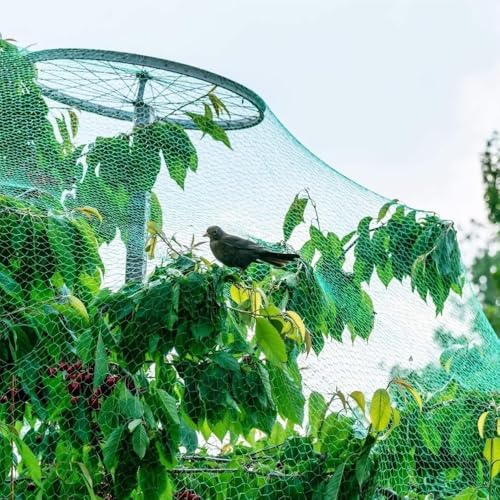 Bird Garden Netting - 13FT * 33FT Heavy Duty Bird & Animal Protection for Plants, Fruits, and Vegetables - size: 13*33FT