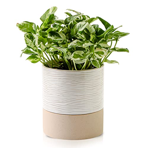 Nihow Ceramic Self Watering Plant Pot for Indoor Plants, 6 Inch,Cream White - color: Cream White & Brown, size: 6" Self Watering